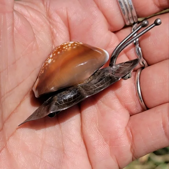 *RARE* epic genuine cowrie shell 925 sterling silver snail brooch